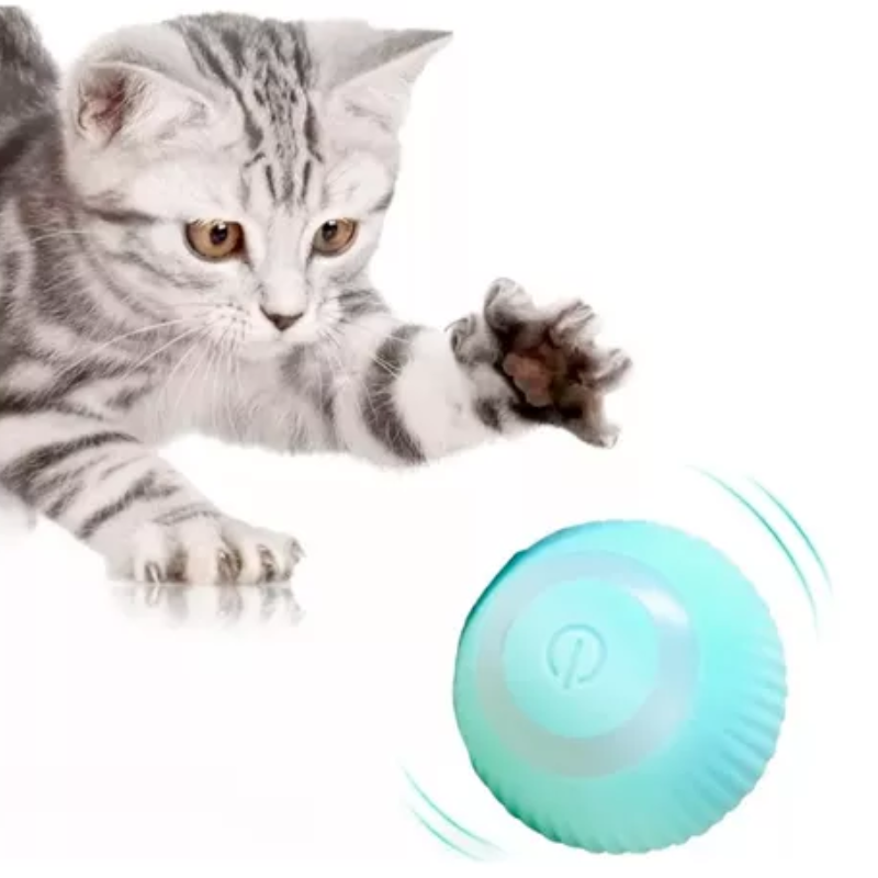 Juguete Pelota Interactiva Gatos Usb